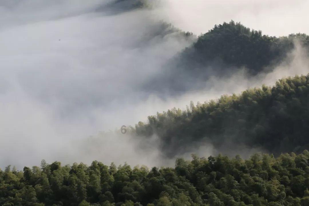 《可怜的东西》:重塑弗兰肯斯坦,女性觉醒的奇幻之旅