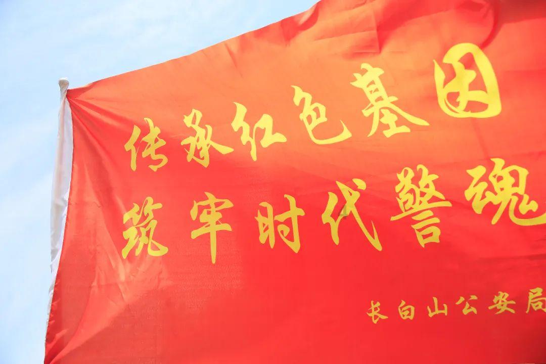 寻梦环游记找吉他